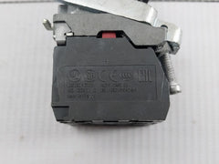 Flush Push Button A600-q600 240V 3A Schneider Electric Zbe-101