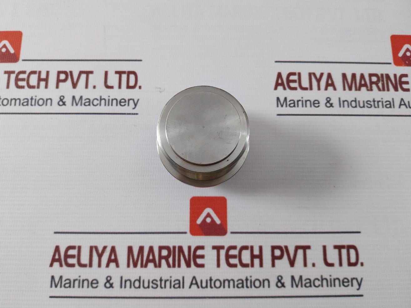 Fmc 243102852000 Ball Retainer Plug