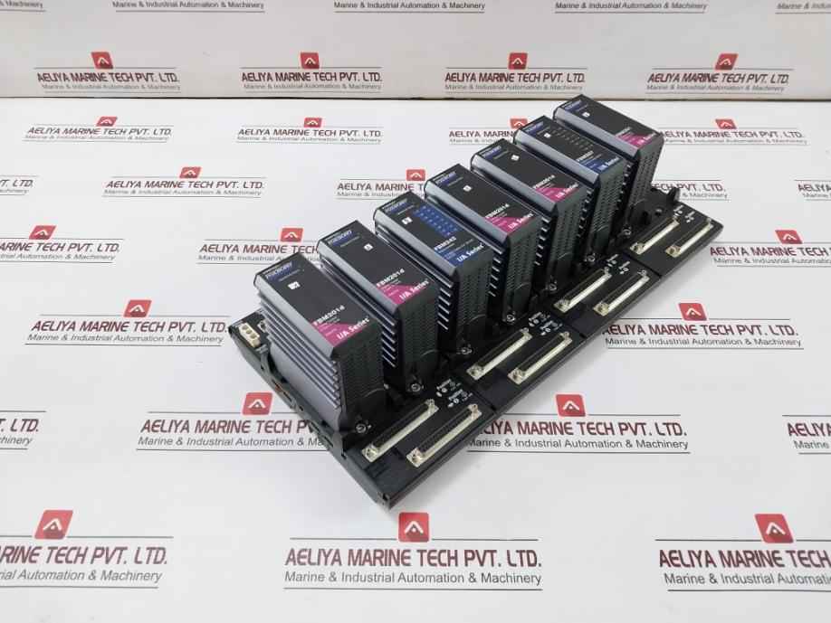 Fox Boro Fbm201D I/A Series Fieldbus Module Rack 24Vdc P0922Yk, P0916Ta, P0914Sq