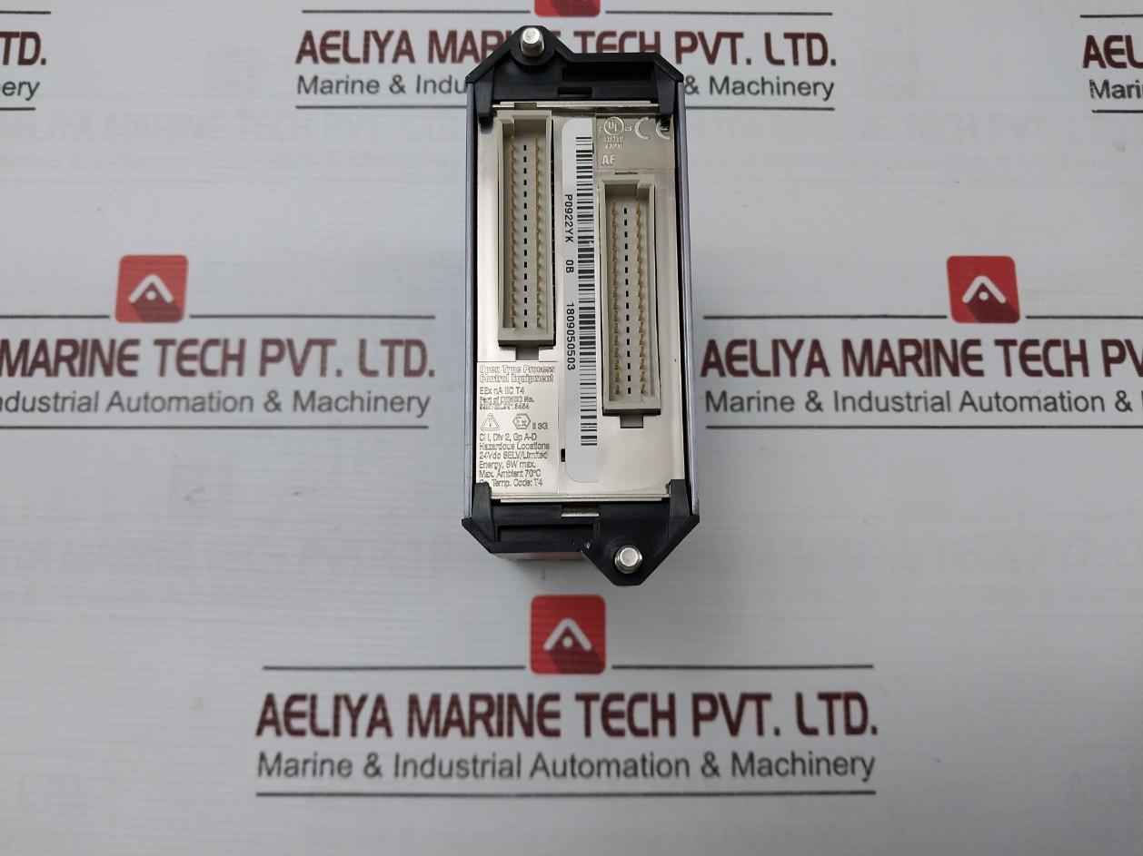 Fox Boro Fbm201D I/A Series Fieldbus Module Rack P0922Yk, P0916Ta, P0914Wh 24Vdc