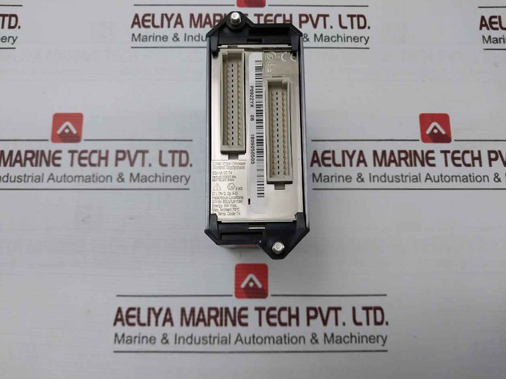 Fox Boro Fbm201D I/A Series Fieldbus Module Rack P0922Yk, P0916Ta, P0914Wh 24Vdc