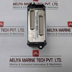 Fox Boro Fbm201D I/A Series Fieldbus Module Rack P0922Yk, P0916Ta, P0914Wh 24Vdc