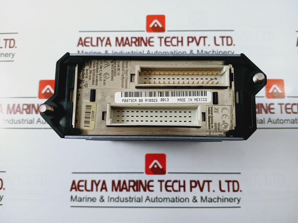 Foxboro Fem100 Fieldbus Expansion Module 07 Atex 0526498X 8W Max P0973Ca