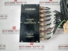 Foxboro Hlc-3 Hardware Level Characteristic Module L8005Zx-b Rev.B S8001Lg