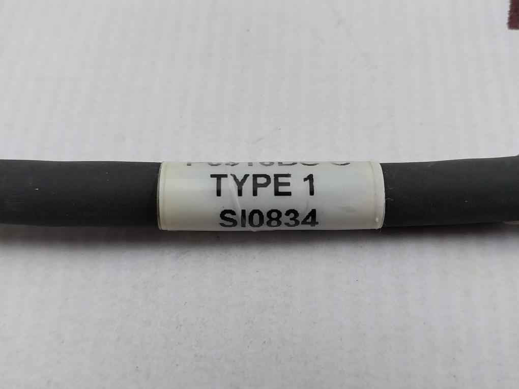 Foxboro P0916Dc C Terminal Cable Assembly 3 Meter 300V