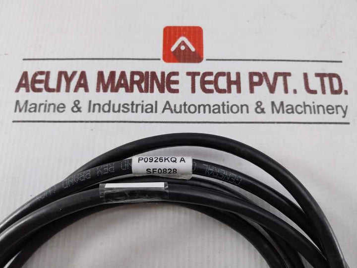 Foxboro P0926Kq A Baseplate Cable 3/C 10Awg 300V
