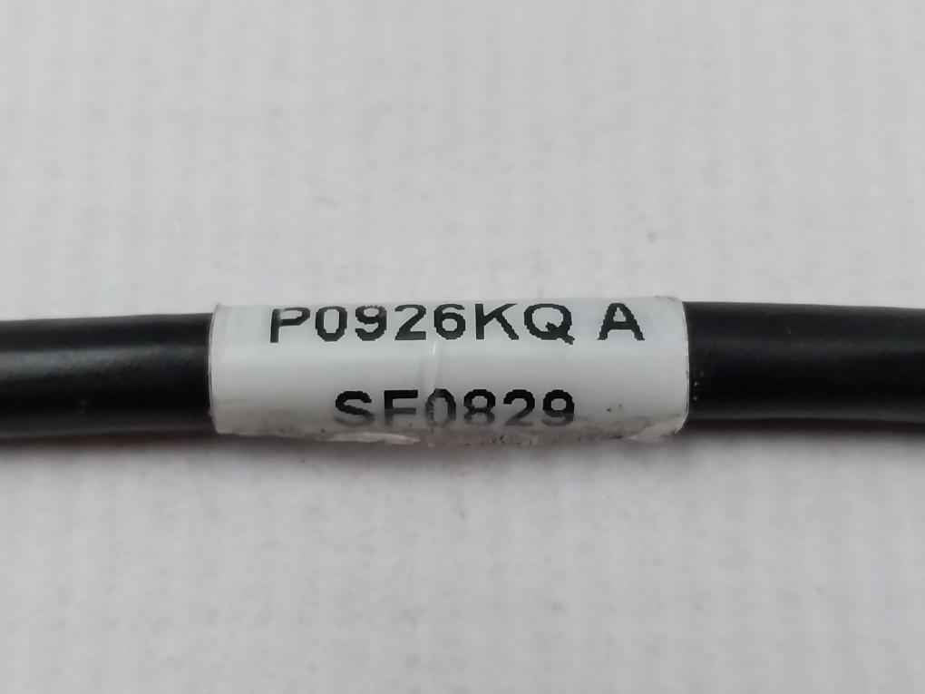 Foxboro P0926Kq Fpm Power Cable 2 Meter 300V