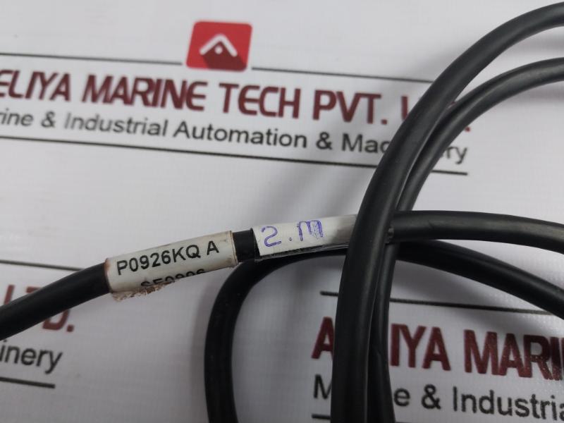 Foxboro P0926Kq Power Supply Output Cable, 2 Meter, Sf0906