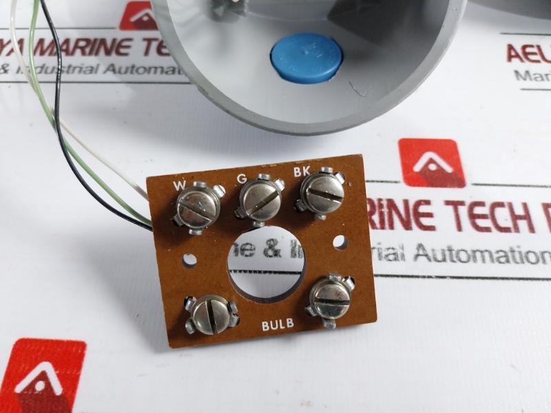 Foxboro Pr-1nsxxs Platinum Resistance Bulb -100 To +100 F