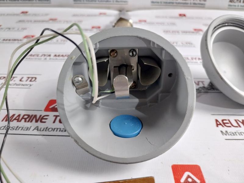 Foxboro Pr-1nsxxs Platinum Resistance Bulb -100 To +100 F