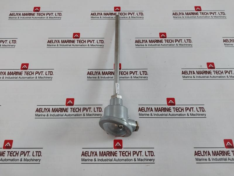 Fpl Temperature Sensor 250-mm