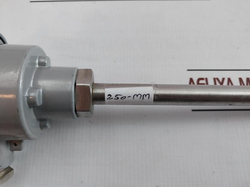 Fpl Temperature Sensor 250-mm