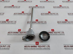 Fpl Temperature Sensor 250-mm