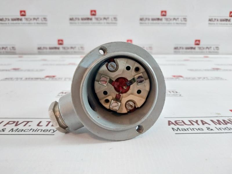 Fpl Temperature Sensor 250-mm