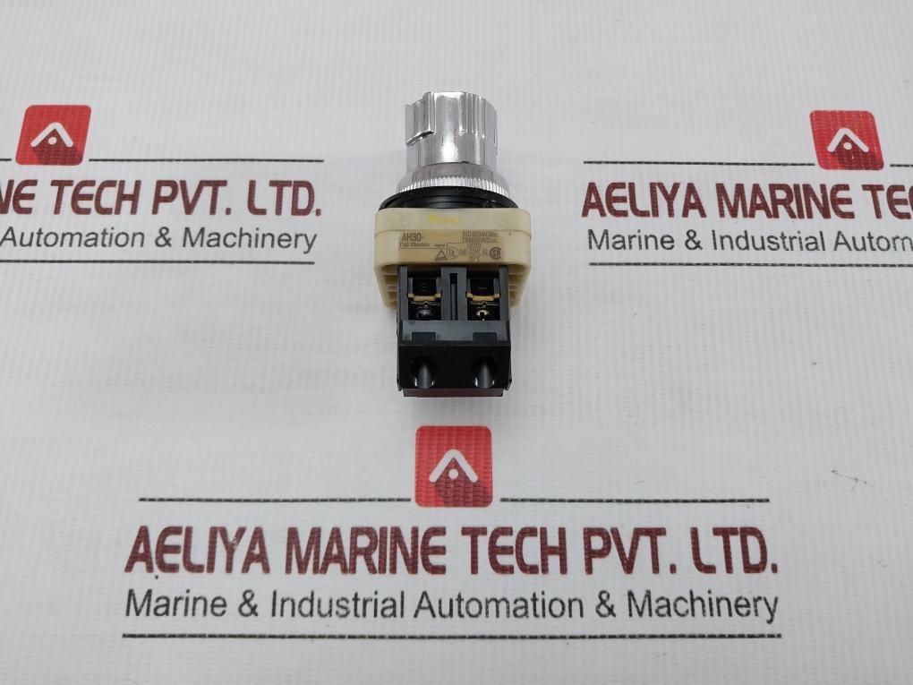 Fuji-Electric-Command-Switch-600V-10A-Ah30-s6R10-209819-4