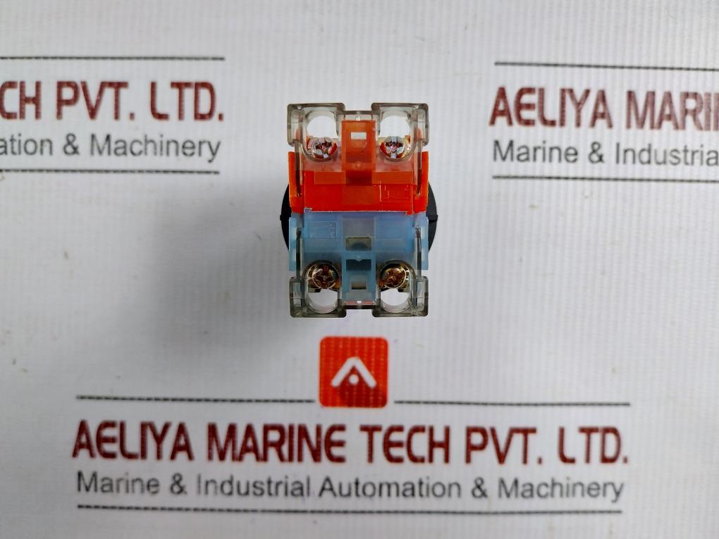 Fuji-Electric-Selector-Switch-250v-6a-Ar30pr-2-7