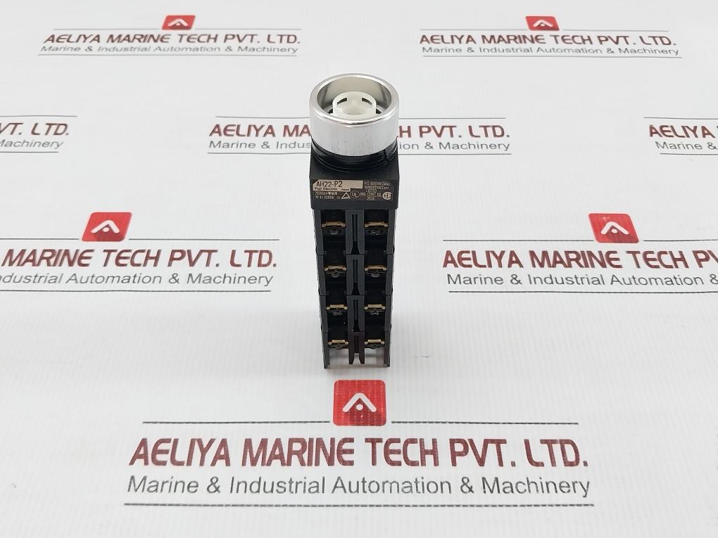Fuji-Electric-Selector-Switch-600v-10a-Ah22-P2b44-4
