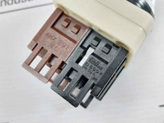 Fuji Electric Ah30-p3B11 Select Switch 250V 6A