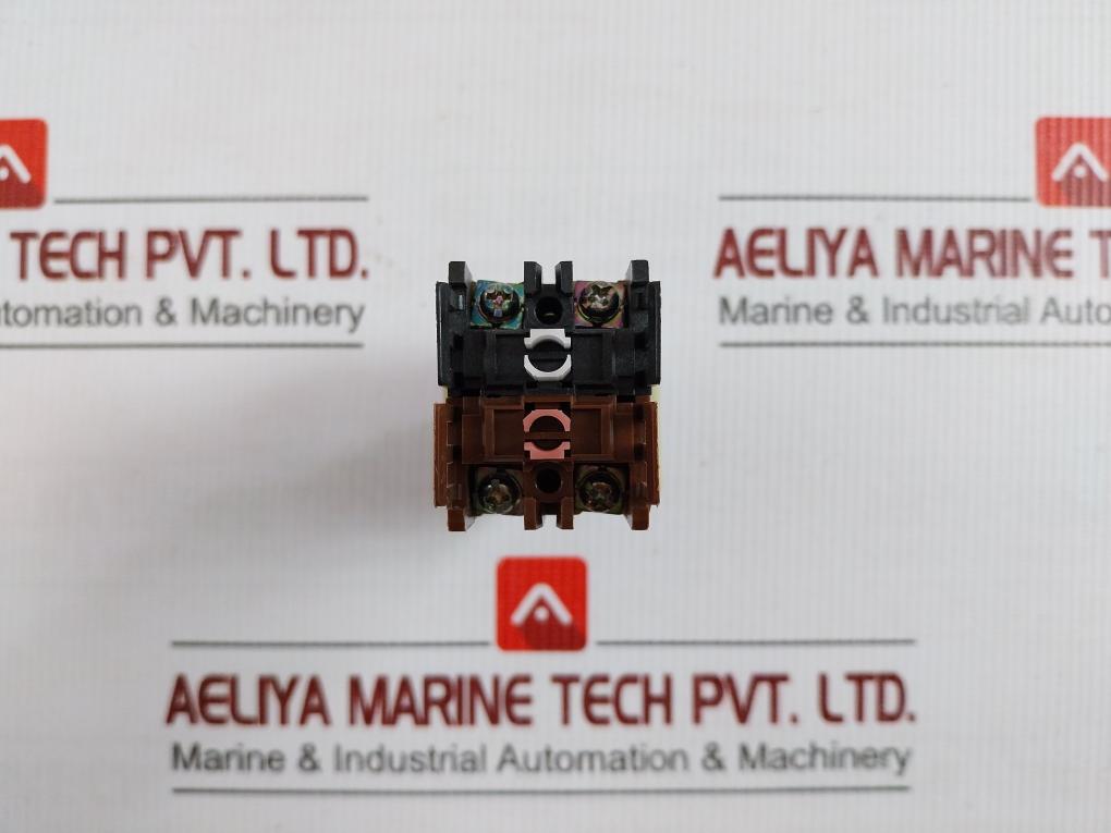 Fuji Electric Command Switch 250V 6A Ah30-p2