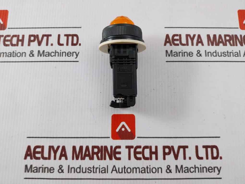 Fuji Electric Dr30K0L Pilot Orang Light 100-110V,50-60Hz