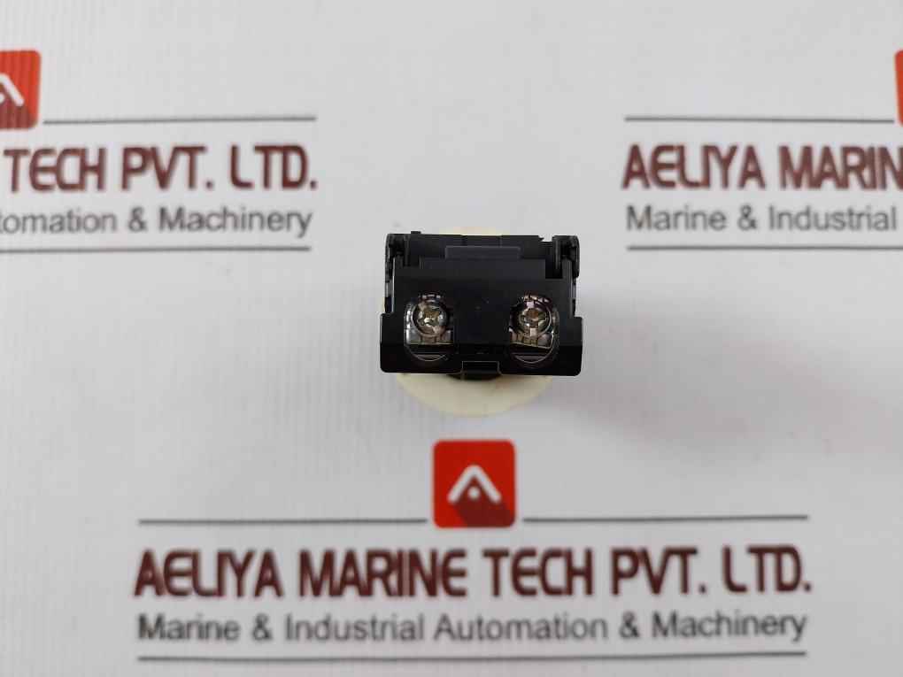 Fuji Electric Dr30K0L Pilot Orang Light 100-110V,50-60Hz