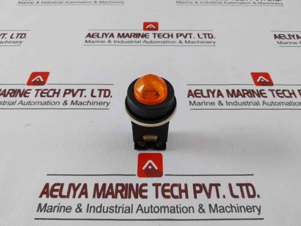 Fuji Electric Dr30K0L Pilot Orang Light 100-110V,50-60Hz