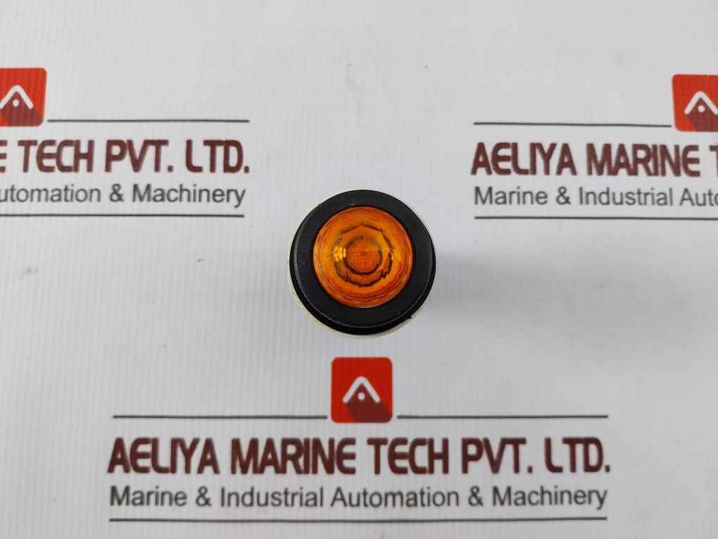 Fuji Electric Dr30K0L Pilot Orang Light 100-110V,50-60Hz