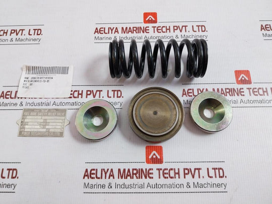 Fukui Seisakusho 65 M/M Full Bore Safety Relief Valve Repair Set Res164