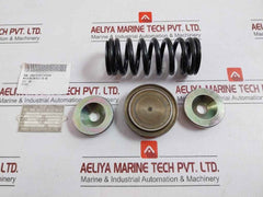 Fukui Seisakusho 65 M/M Full Bore Safety Relief Valve Repair Set Res164
