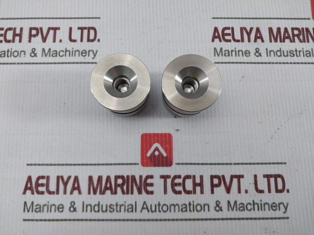 Fukui Seisakusho Sl631(T) Safety Valve Sus304 2½*J*4