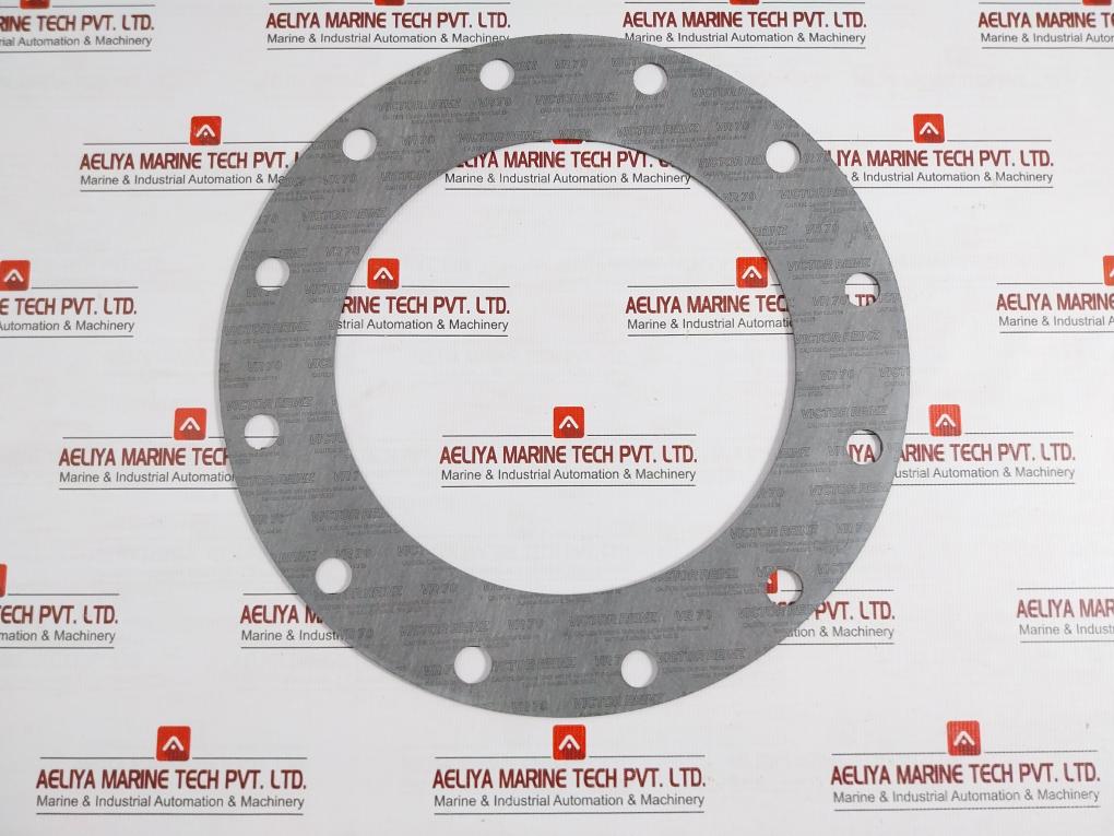 Full Face Gasket Kit 8040259-01 Ebara Corporation Elliott