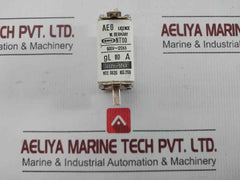 Fuse Gl 80 A Nt00 Aeg