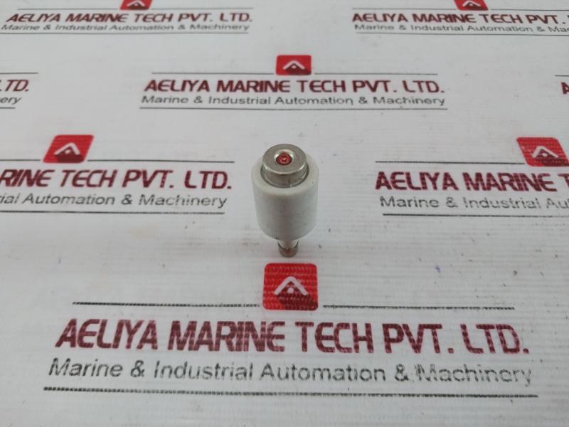 Fuse Link 10A 500V Gl-gg