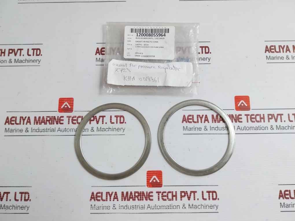 Gasket For Pressure Regulator 100792 X729