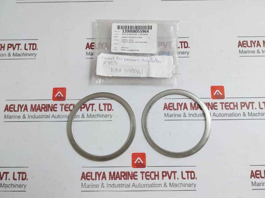 Gasket For Pressure Regulator 100792 X729