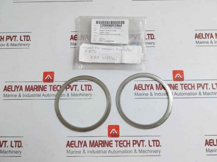 Gasket For Pressure Regulator 100792 X729