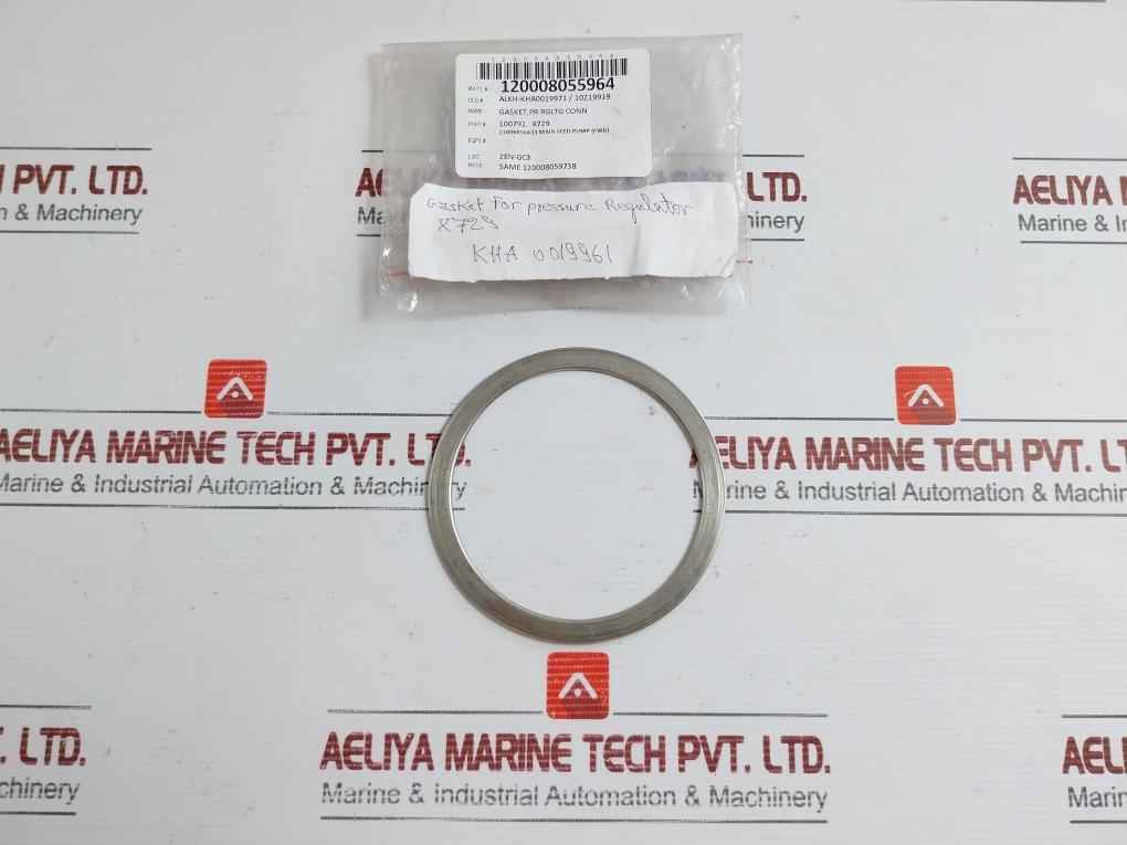 Gasket For Pressure Regulator 100792 X729
