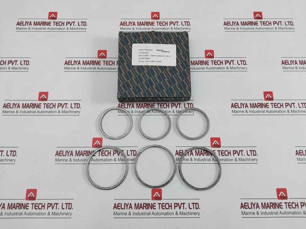 Gasket Ring Kit P16036692 Spirax Sarco