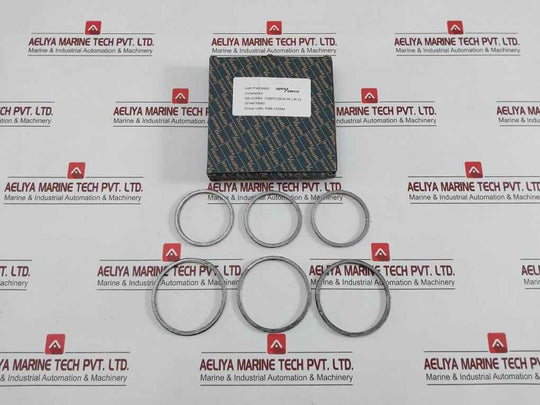 Gasket Ring Kit P16036692 Spirax Sarco