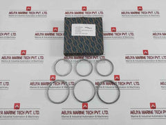 Gasket Ring Kit P16036692 Spirax Sarco
