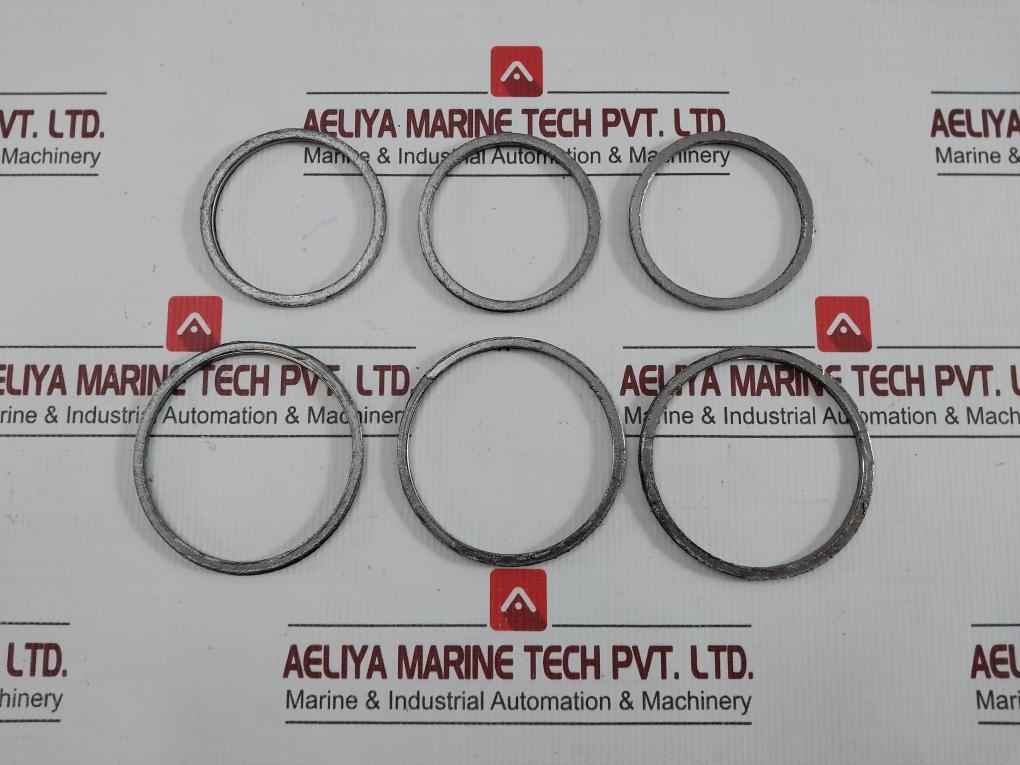 Gasket Ring Kit P16036692 Spirax Sarco