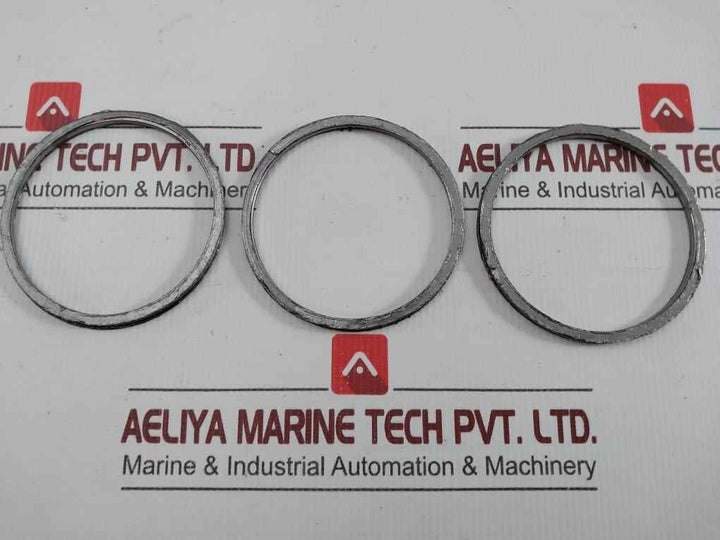 Gasket Ring Kit P16036692 Spirax Sarco