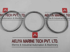 Gasket Ring Kit P16036692 Spirax Sarco