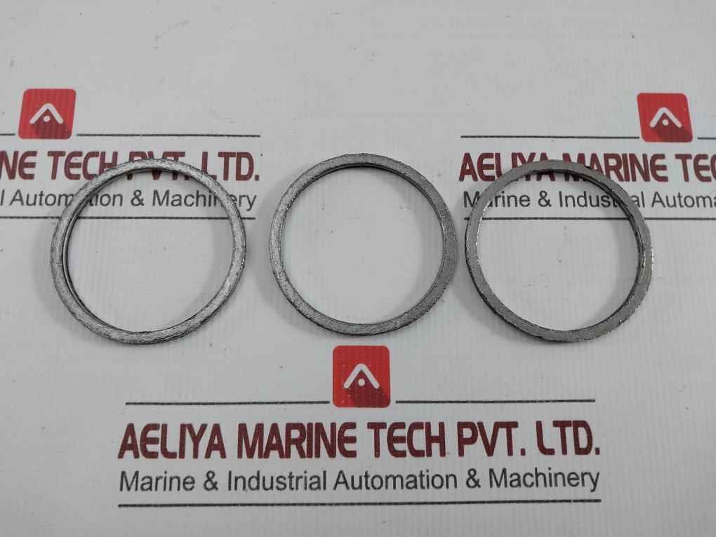Gasket Ring Kit P16036692 Spirax Sarco