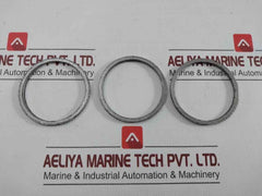 Gasket Ring Kit P16036692 Spirax Sarco