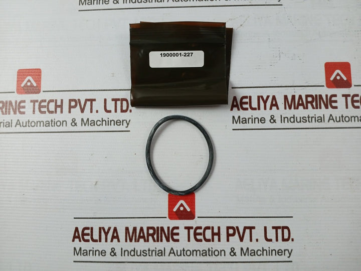 Ge 900600-rk Repair Application Bop Kit – Wedge Seal 1.50 Pol Rev: Nc