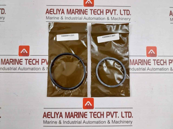 Ge 900600-rk Wedge Seal Repair Application Bop Kit Rev.B