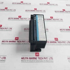 Ge Fanuc Ic660Bbd024 Genius Block I/O Module Ic660Tbd024 Ic660Ebd024S 12/24Vdc