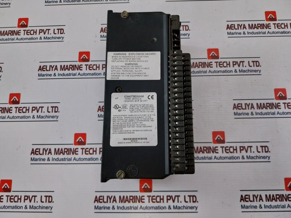 Ge Fanuc IC660EBD024W Electric Module