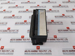 Ge Fanuc IC660EBD024W Electric Module
